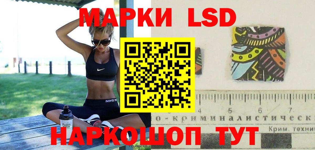 LSD-25 экстази кислота  LSD-25 экстази кислота  Выборг  Вход с VPN 