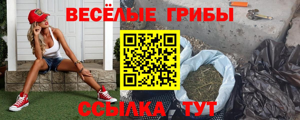 Галлюциногенные грибы Cubensis  Вход с VPN  как найти   Выборг 