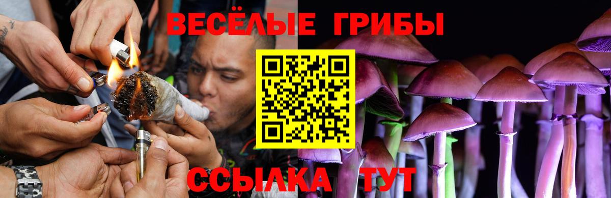 Галлюциногенные грибы Magic Shrooms Выборг